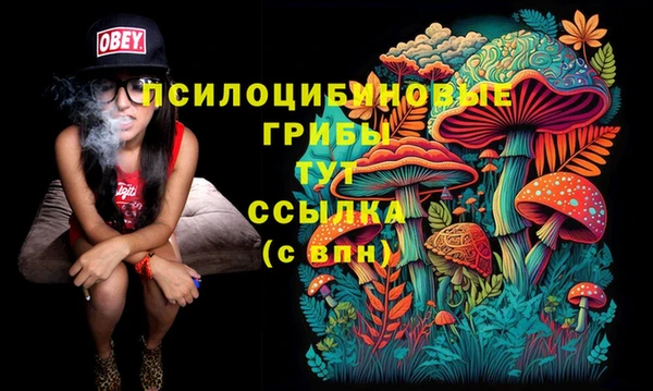 дурь Михайловка