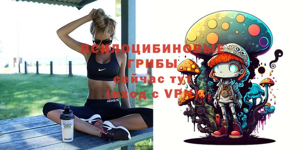 мескалин Михайлов