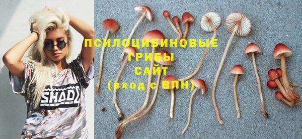 мескалин Михайлов